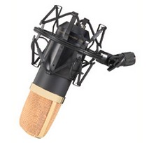 Microphone